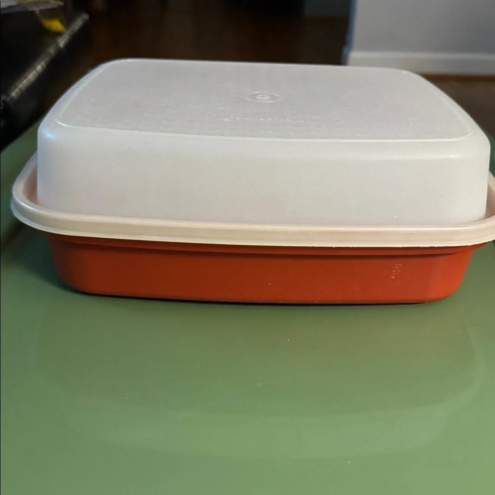 Vintage Tupperware Season Serve Marinade Container with Lid - Paprika